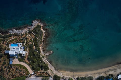 Natural landscape, Bird's eye view, Garden, Beach, Sea view, Location