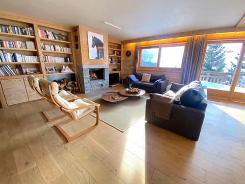 Library, TV and multimedia, Living room, Seating area