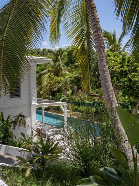 Garden, Garden view, Swimming pool