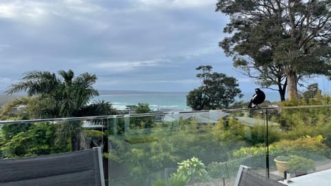 Unit 1 1 Jinjera Parade Pambula Beach Appartement in Pambula Beach