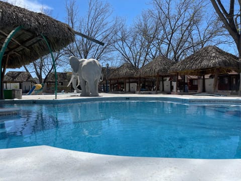 Pool view, Swimming pool