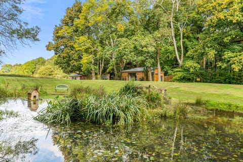 Ivy Cottage Holiday Cabins House in Southampton