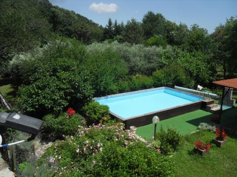 Natural landscape, Garden, Swimming pool