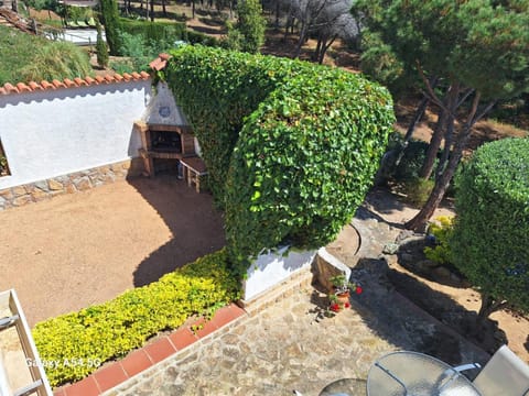 BBQ facilities, Garden