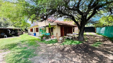 Patio, Garden, Garden view