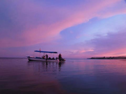 Natural landscape, Activities, Sea view, Sunset