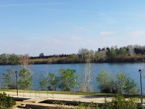 Natural landscape, River view