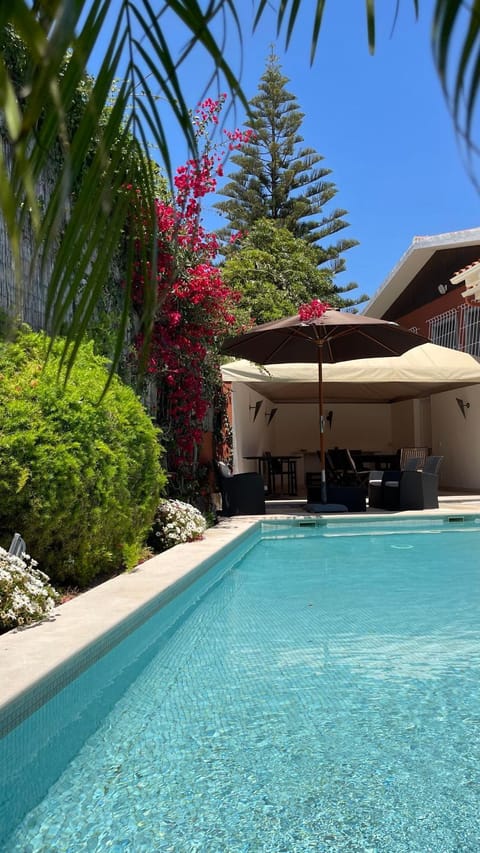 Garden, Pool view, Swimming pool