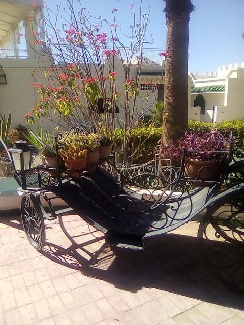 Hotel Riad L' Arganier D' Or Hôtel in Souss-Massa