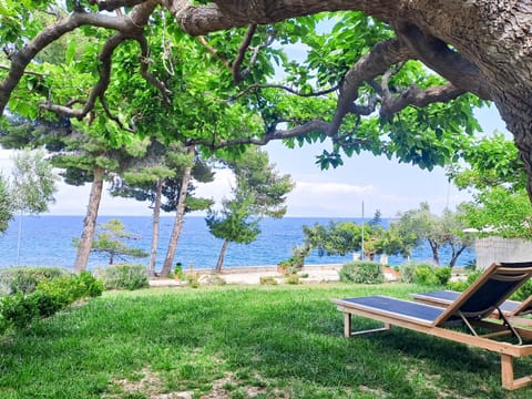 Garden, Seating area, Sea view, Sunrise, sunbed