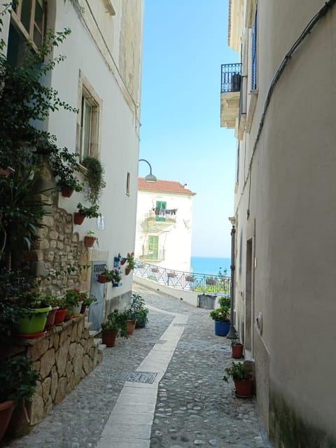 Quiet street view