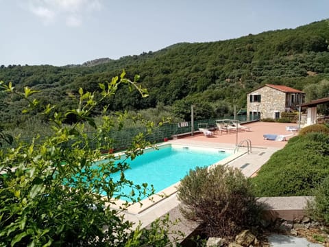 Pool view, Swimming pool