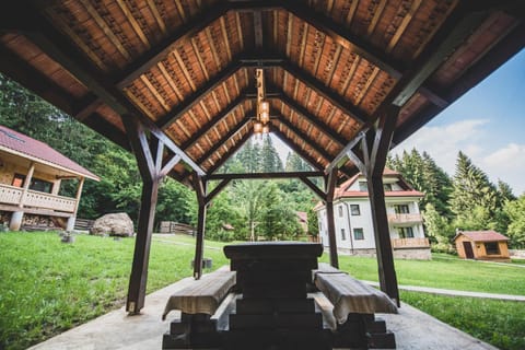 Forest Resort Bed and Breakfast in Brașov County