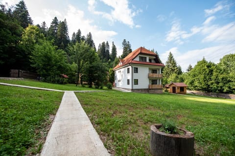 Forest Resort Bed and Breakfast in Brașov County