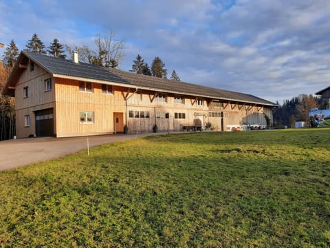 Property building, Spring