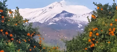 Agriturismo Gli Aranci dell'Etna Farm Stay in Mascali