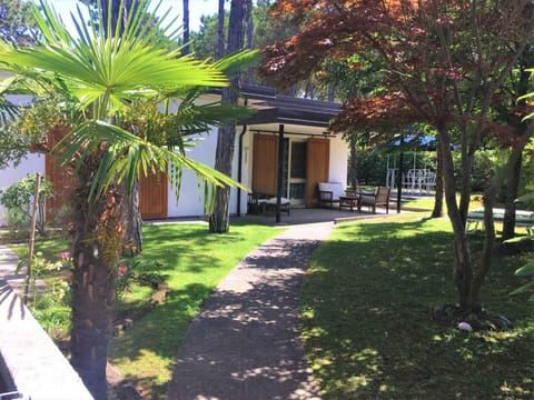 Summer, Garden