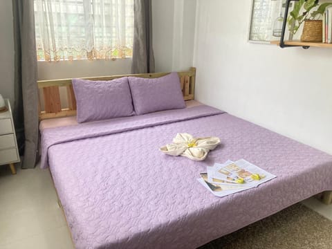 Balai Lawaan Cozy Homestay Vacation rental in Iloilo City