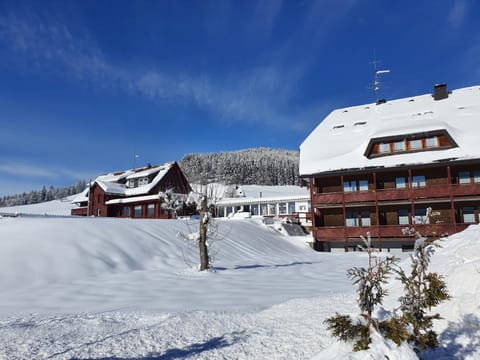 Property building, Day, Natural landscape, Winter, Mountain view