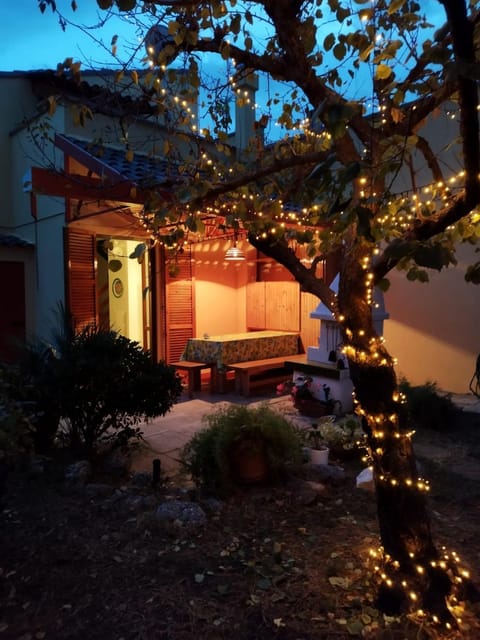 Night, Garden, Garden view