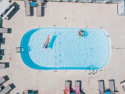 Day, People, Pool view, Swimming pool, Swimming pool, group of guests, sunbed