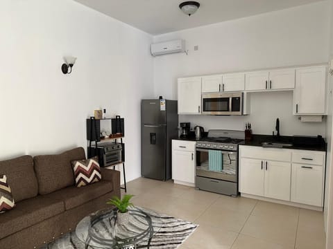 Kitchen or kitchenette, Living room, Seating area, minibar, pet friendly, stove, toaster, air conditioner