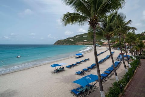 Divi Little Bay Beach Resort Resort in Sint Maarten