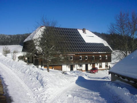 Property building, Natural landscape, Winter