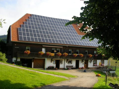 Property building, Natural landscape