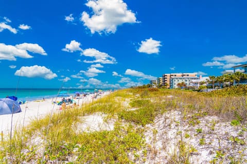 Custom Gulf Coast Gem House in Indian Rocks Beach