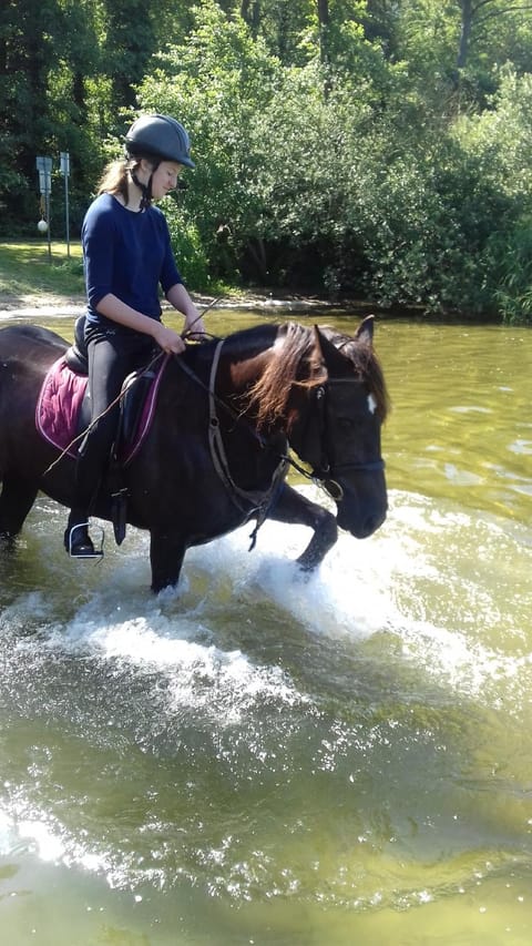 Horse-riding