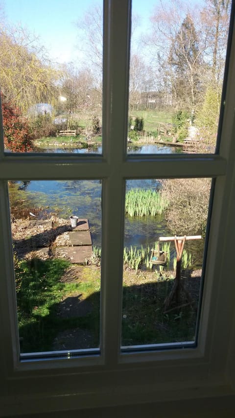 Spring, Garden view