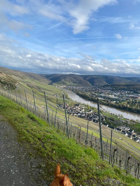 Apartment an der Mosel 2 Apartment in Graach an der Mosel