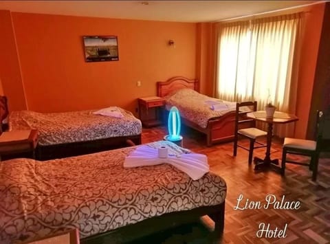 HOTEL LION PALACE Bed and Breakfast in La Paz