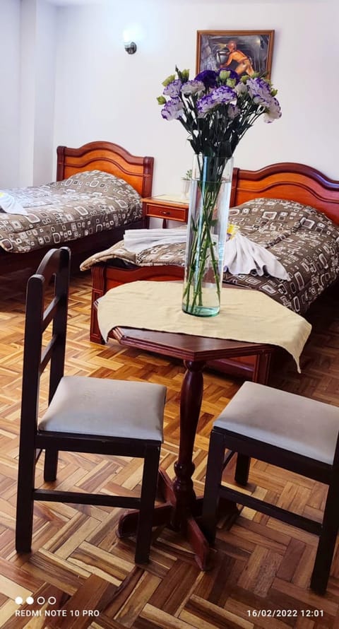 HOTEL LION PALACE Bed and Breakfast in La Paz