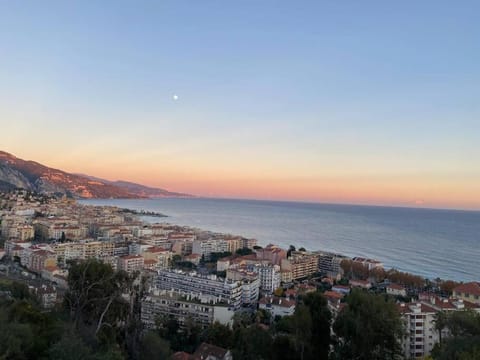 Chris'home Apartment in Roquebrune-Cap-Martin