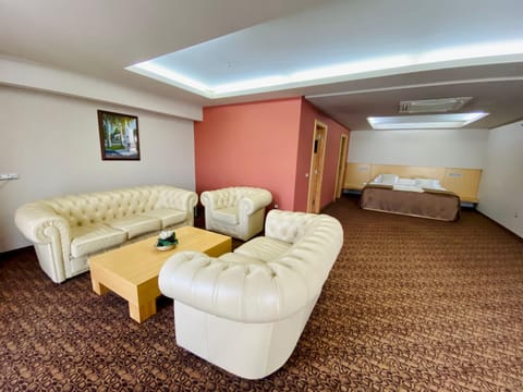 Hotel Zenica Hôtel in Federation of Bosnia and Herzegovina