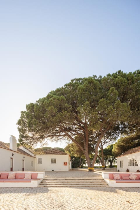 Property building, Patio, Natural landscape