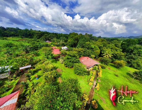 Natural landscape, Garden, Mountain view