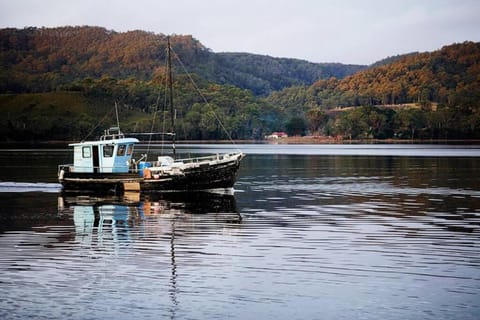 Natural landscape, Activities, Lake view