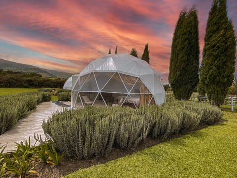 Garden view, Mountain view