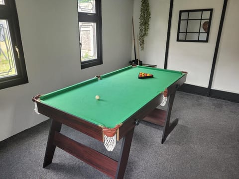 Billiard, Game Room