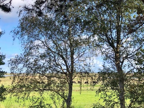 Natural landscape, View (from property/room)