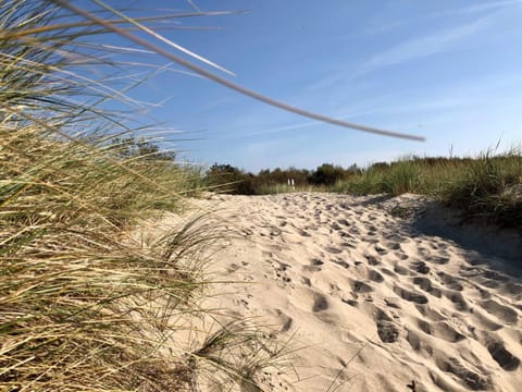 Natural landscape, Beach