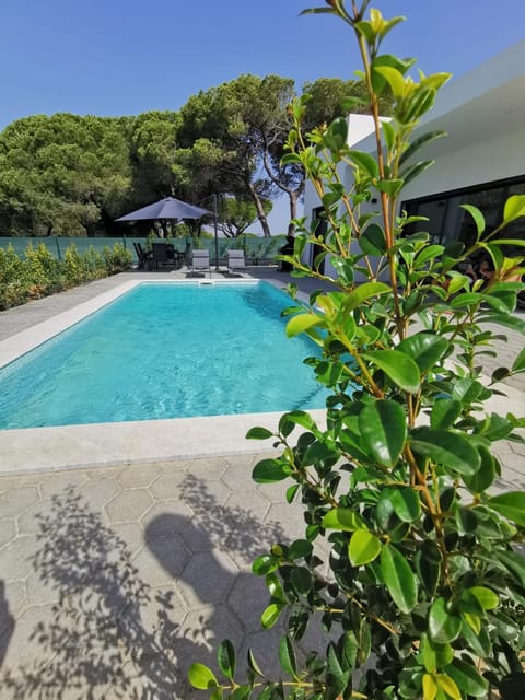 Garden view, Pool view, Swimming pool