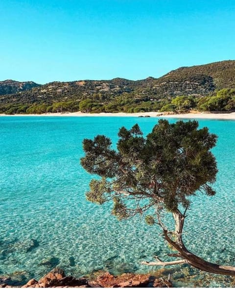 Nearby landmark, Spring, Day, Natural landscape, Activities, Beach, Mountain view, Sea view