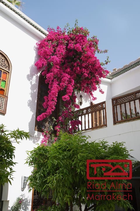 Riad Alma Riad in Marrakesh