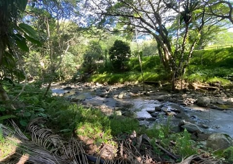 River view