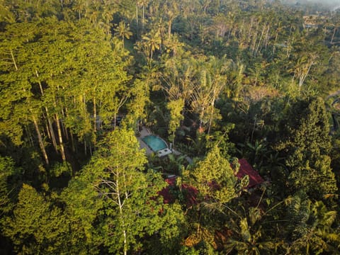 Property building, Garden, Other, Swimming pool