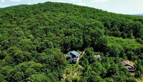 Beauty Wood House in The Forest Nature lodge in Prahova, Romania